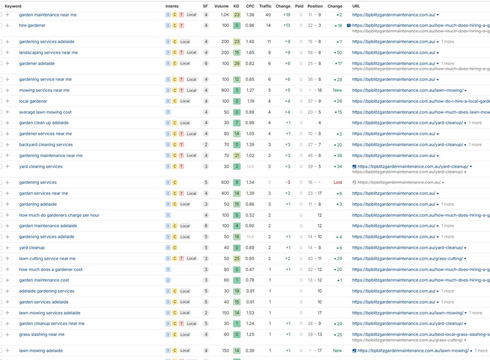 bp blitz seo keyword2