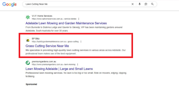 bp blitz seo rank